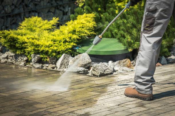 Best Driveway Pressure Washing  in Waterville, NY