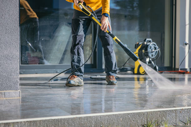 Animal Enclosure Cleaning in Waterville, NY